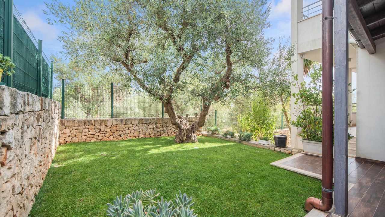 Photo of Outdoor in Alberobello