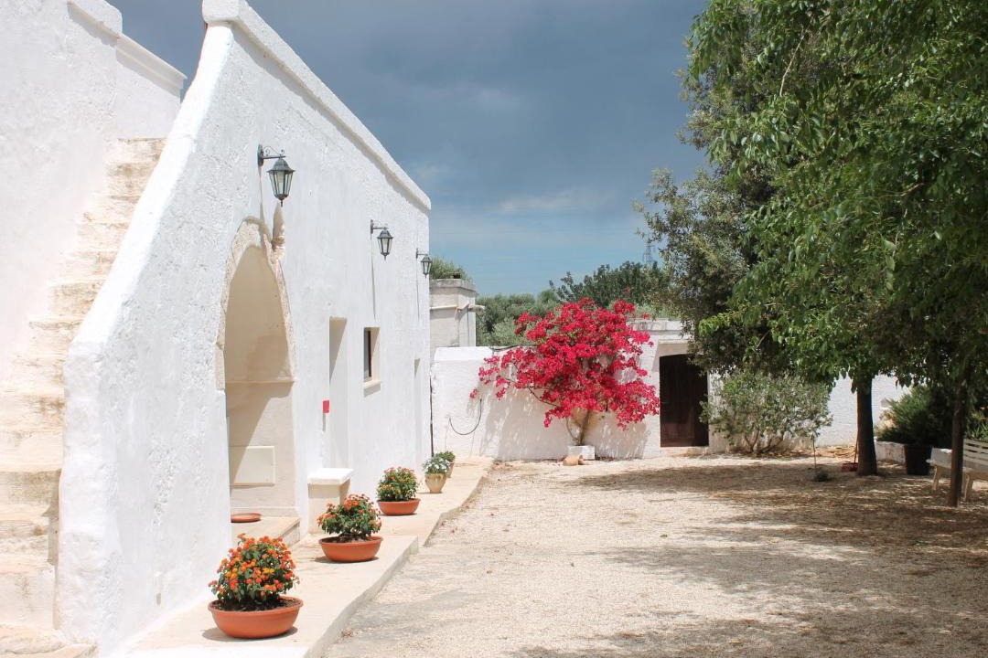 Photo of Others in Cisternino