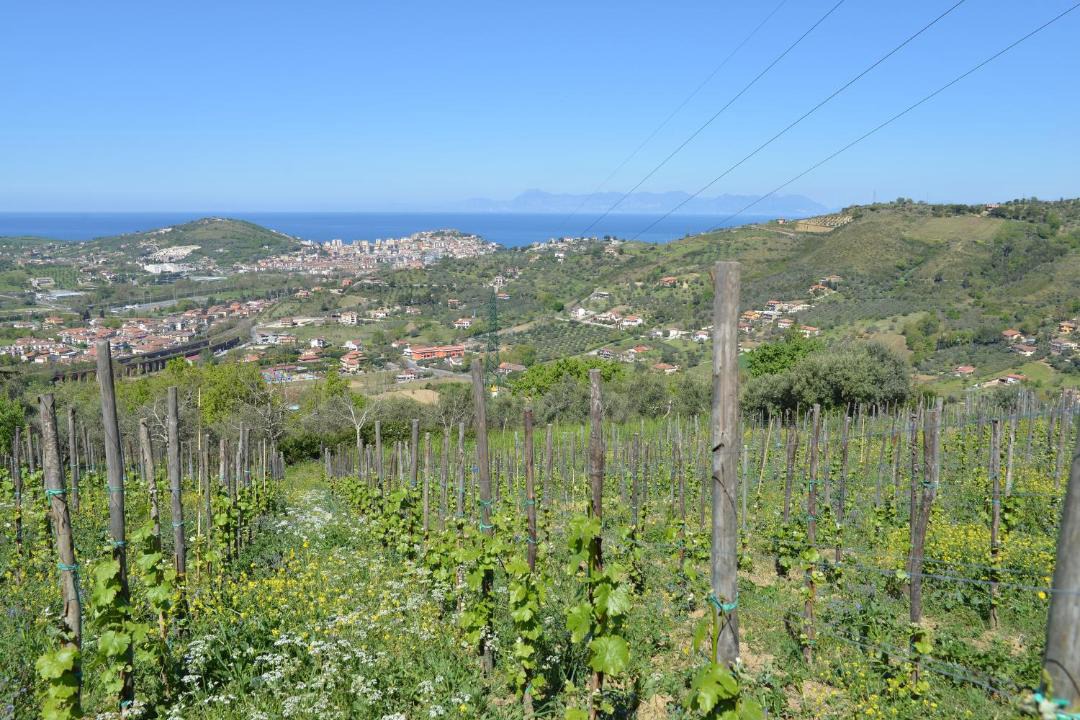 Photo of Others in Frascinelle
