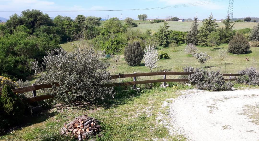 Photo of Outdoor in Lake Bracciano