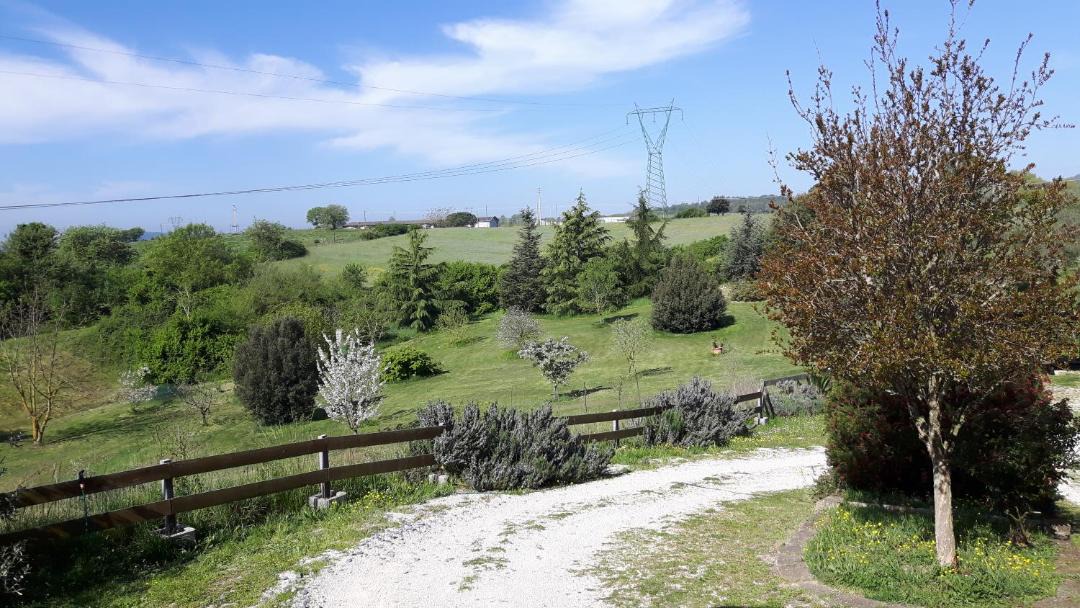 Photo of Outdoor in Lake Bracciano