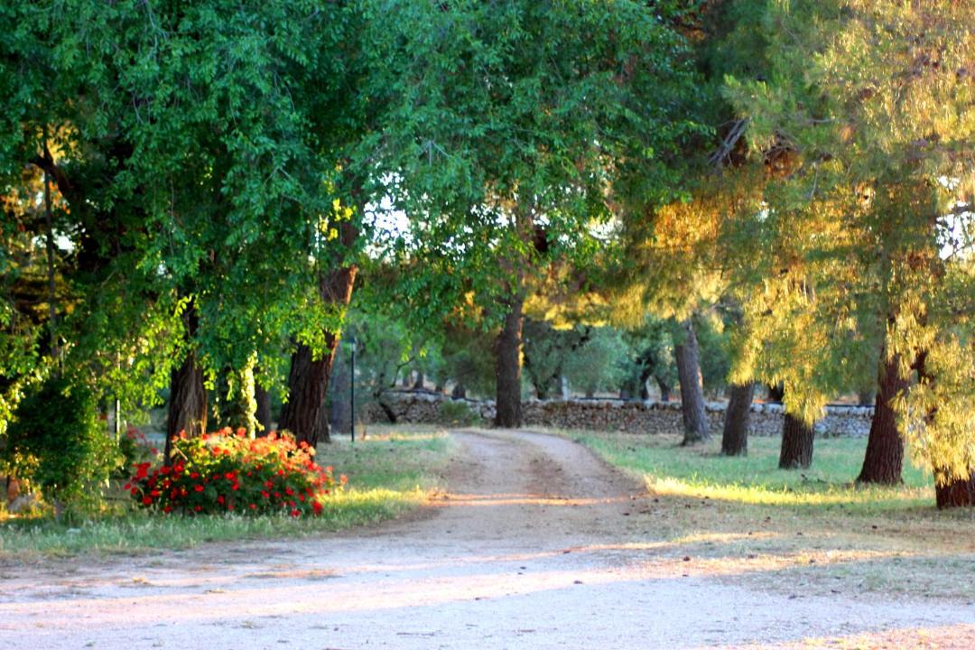 Photo of Others in Cisternino
