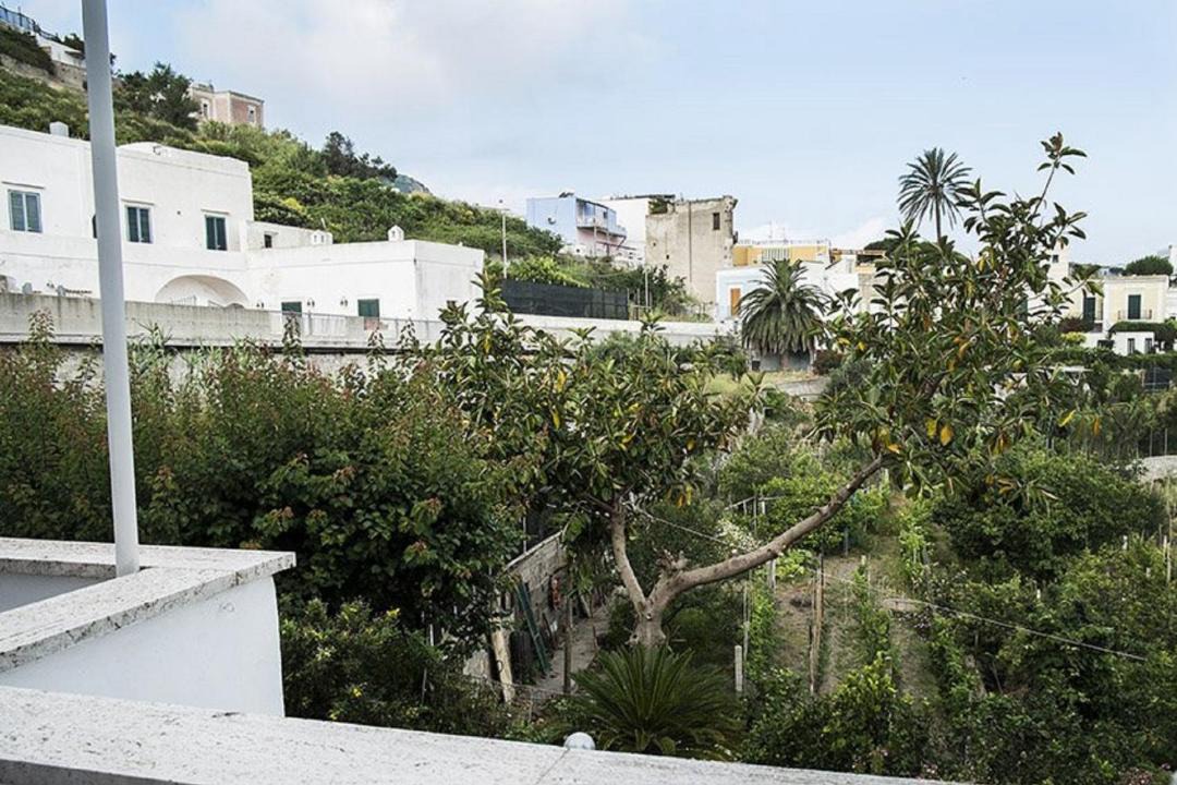 Photo of Others in Ponza
