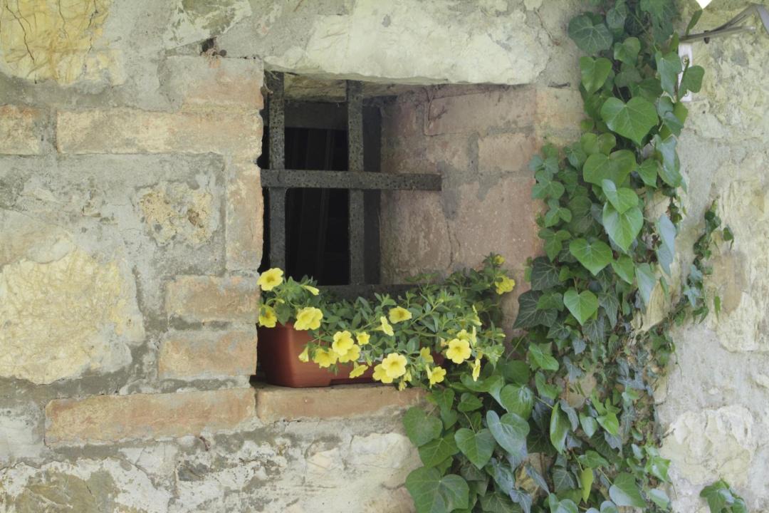 Photo of Others in Murlo