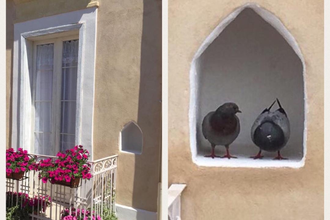 Photo of Others in Canosa di Puglia