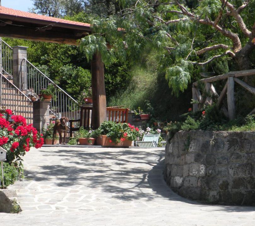 Photo of Others in Piano di Sorrento