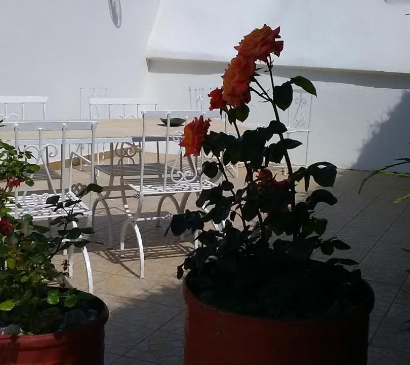 Photo of Others in Noci
