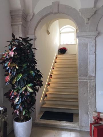 Photo of Others in Bisceglie