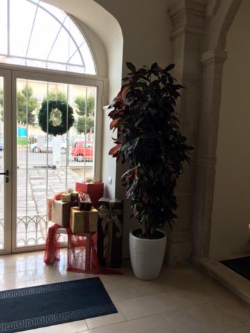 Photo of Others in Bisceglie