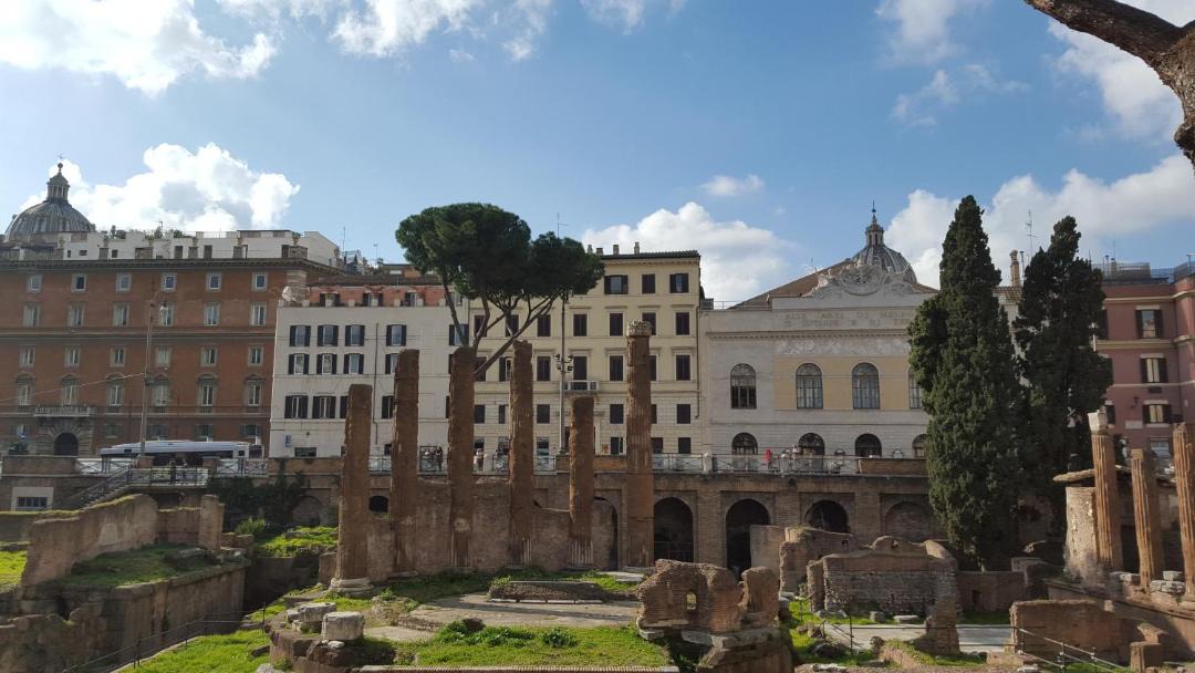 Photo of Others in Navona