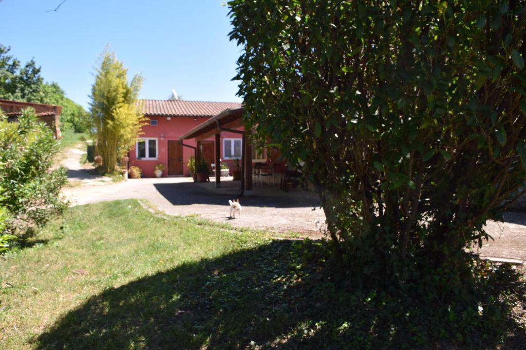 Photo of Others in Scandriglia