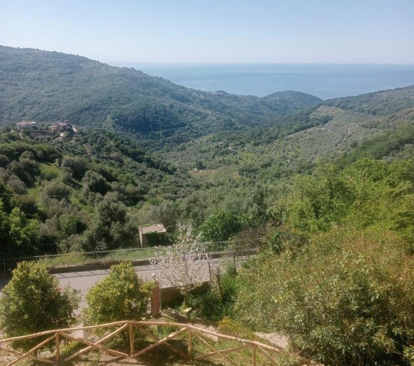 Photo of Others in San Mauro Cilento