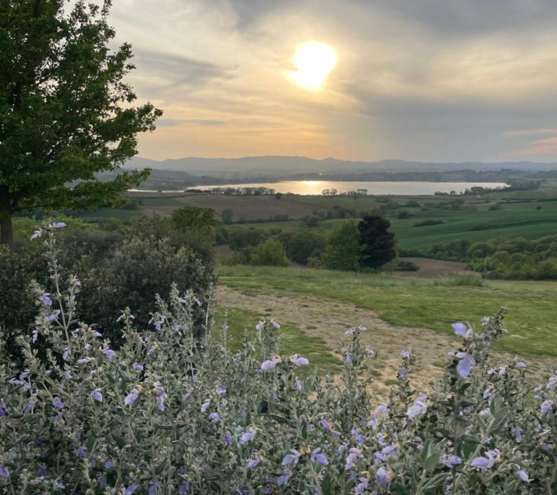 Photo of Others in Castiglione del Lago