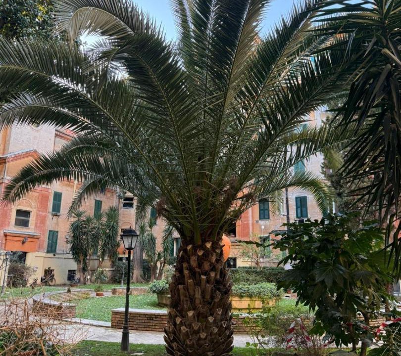 Photo of Others in Testaccio