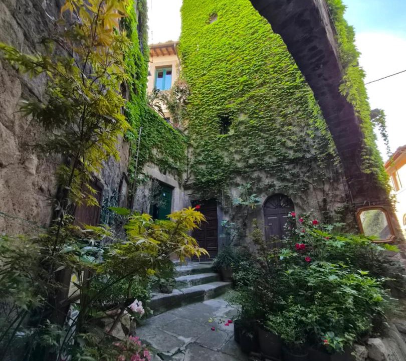 Photo of Others in Viterbo