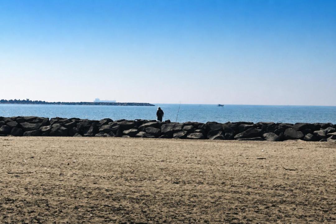 Photo of Human In Picture in Fiumicino