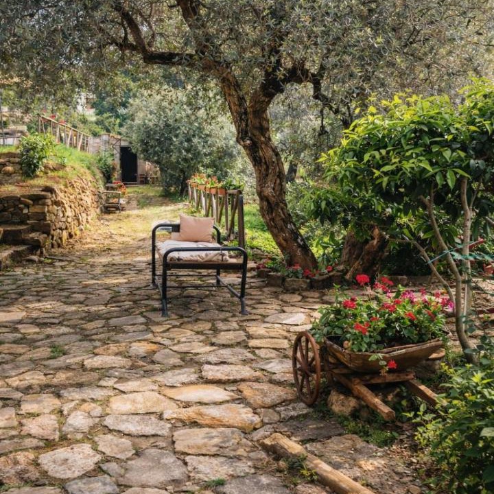 Photo of Others in Sessa Cilento