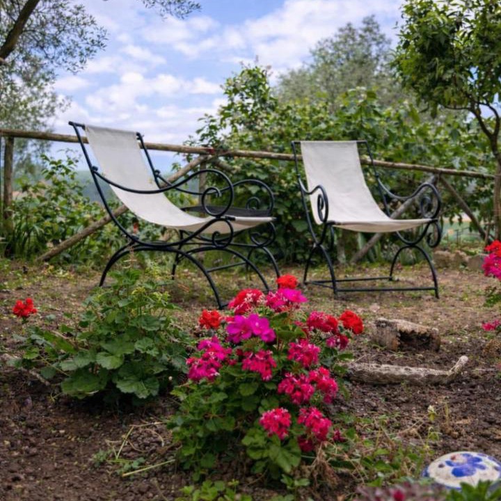 Photo of Others in Sessa Cilento