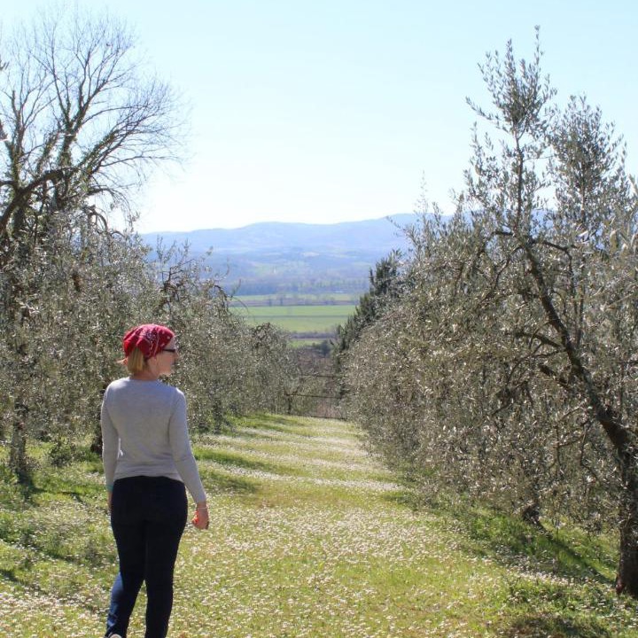 Photo of Others in Monteleone d'Orvieto