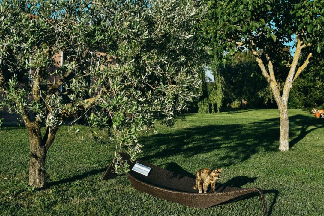 Photo of Outdoor in Capalbio