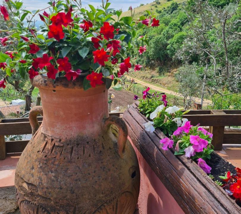 Photo of Patio Balcony in Anagni