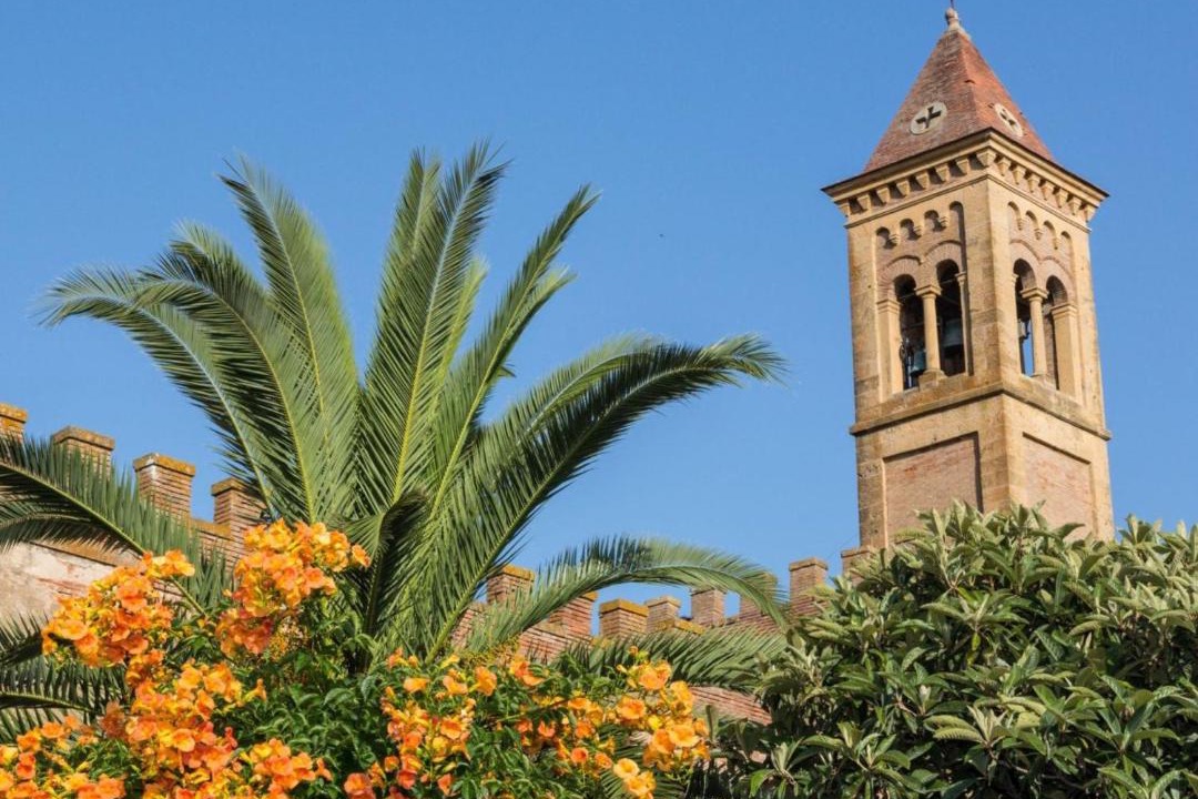 Photo of Others in Bolgheri I