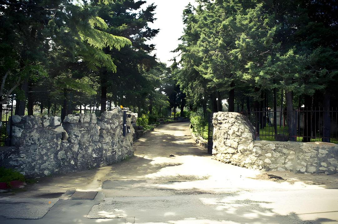 Photo of Others in Cassano delle Murge