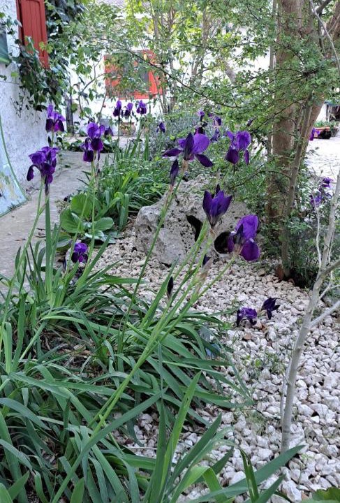 Photo of Outdoor in Cassano delle Murge