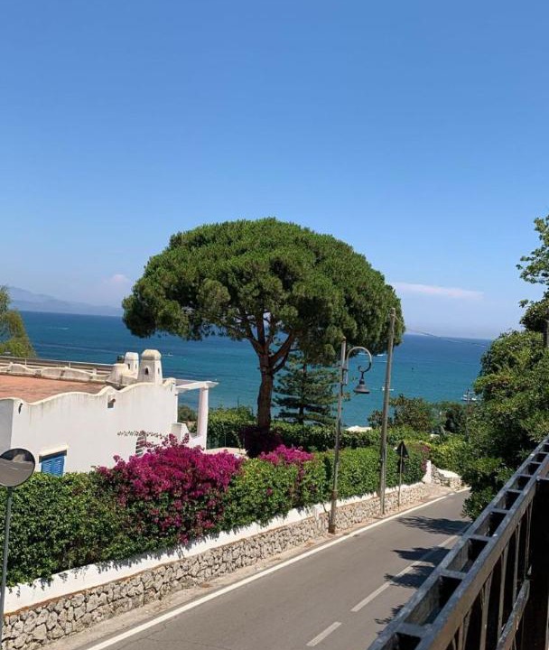 Photo of Others in San Felice Circeo