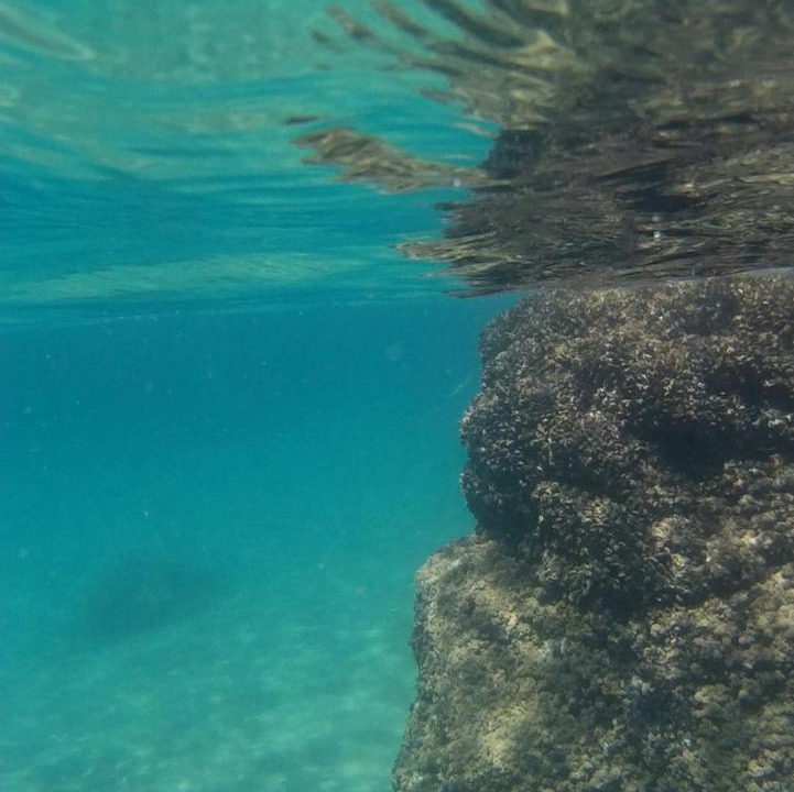 Photo of Others in Sperlonga