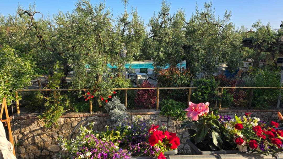 Photo of Others in Formia