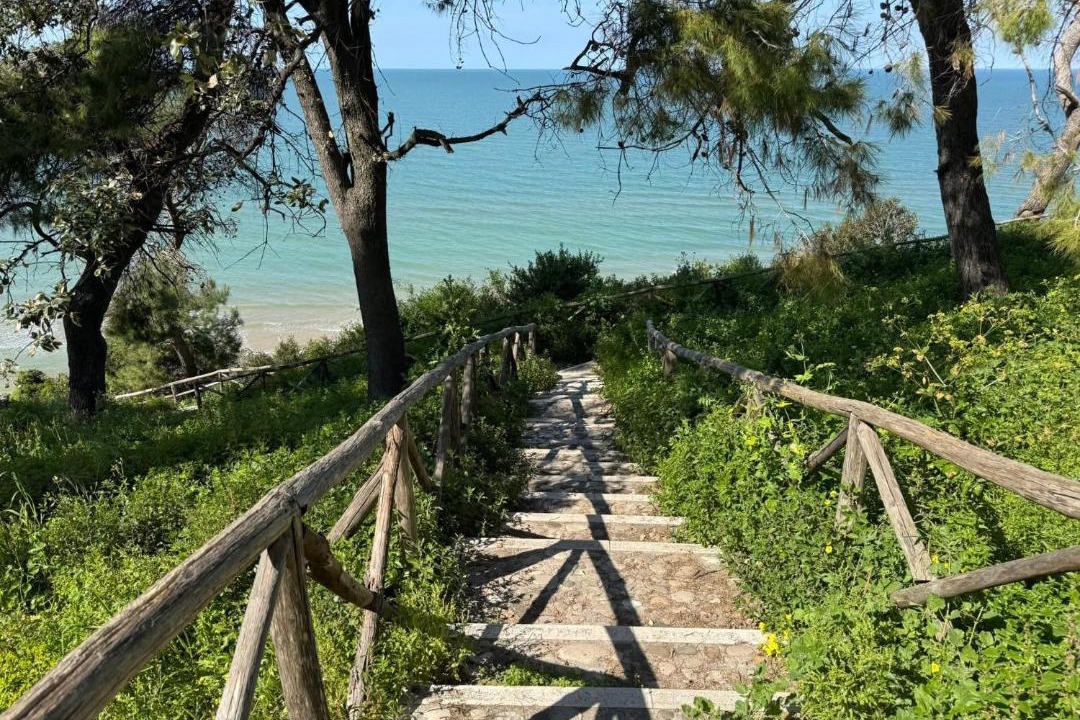 Photo of Others in Vico del Gargano
