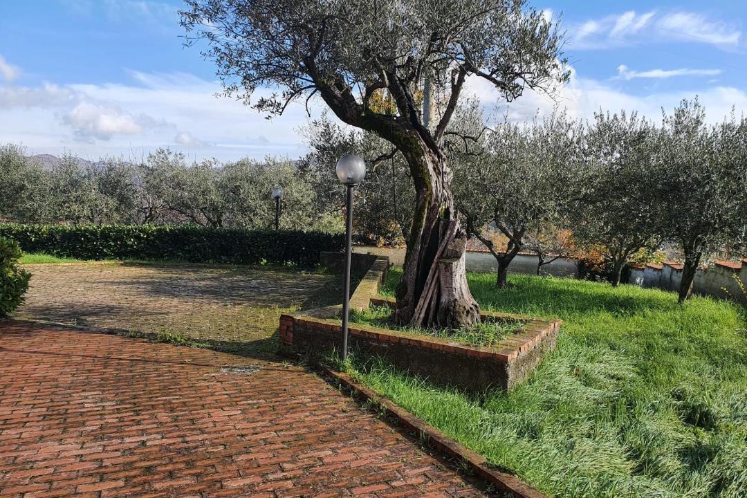 Photo of Others in Ceppaloni