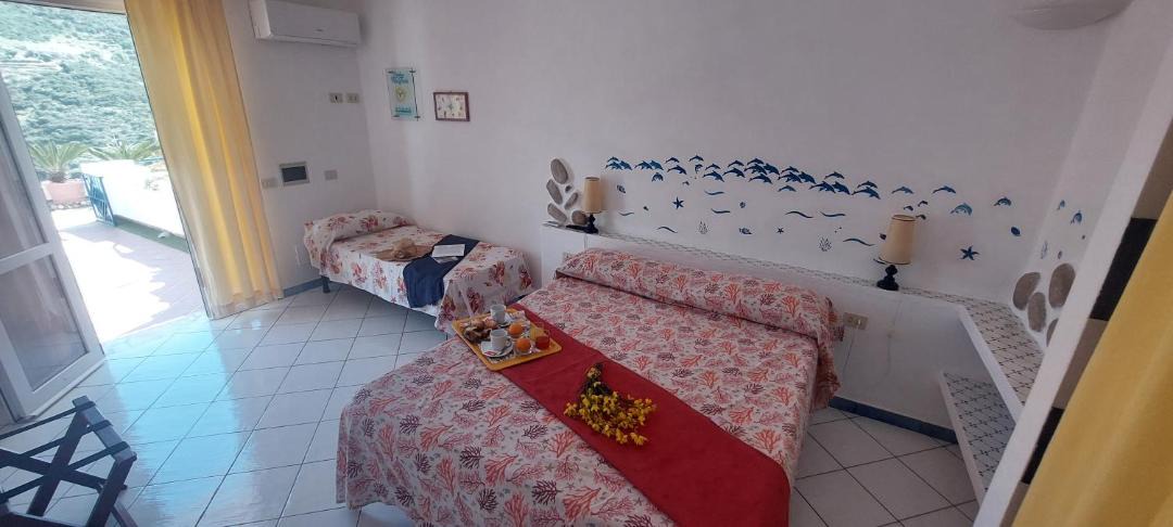 Photo of Others in Ponza