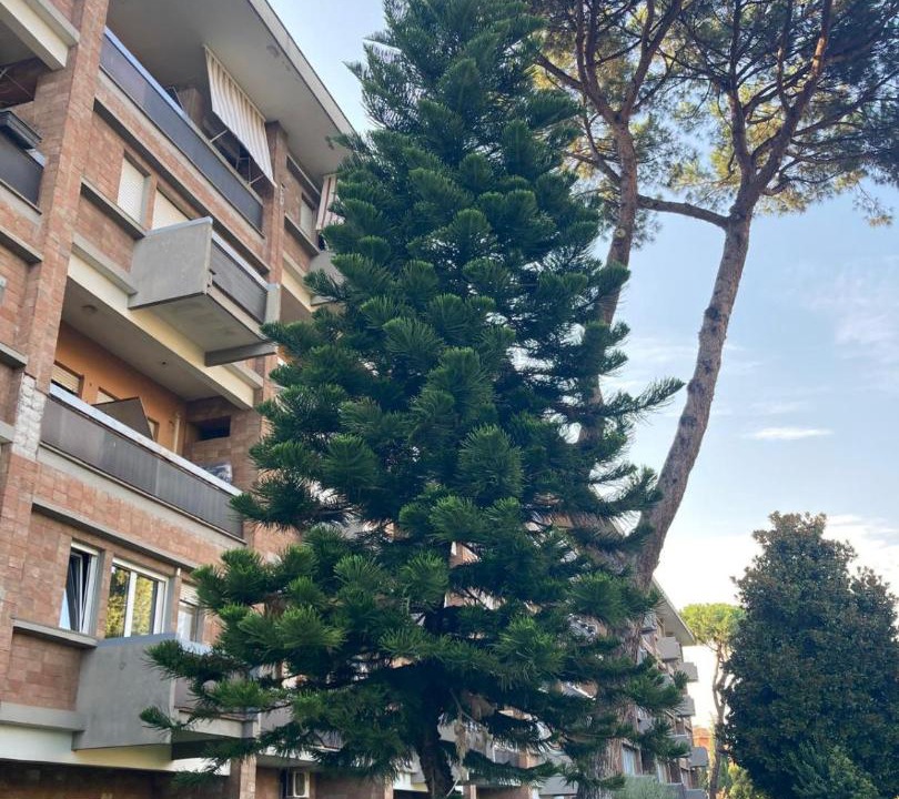 Photo of Others in Quartiere XIII Aurelio