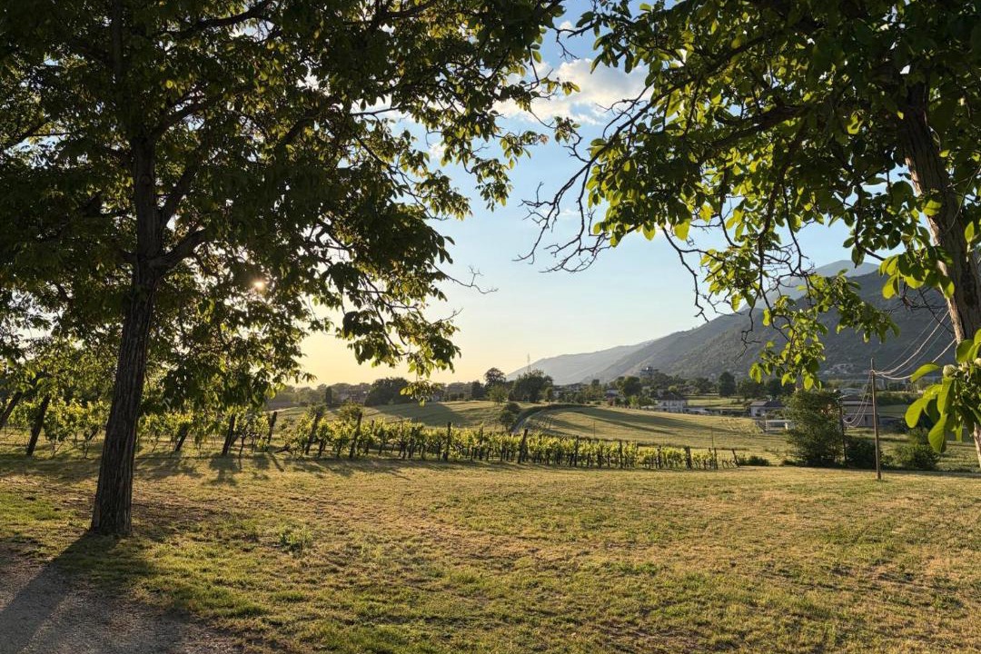 Photo of Others in Cassino