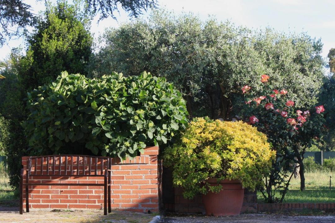 Photo of Others in Borgo Montenero