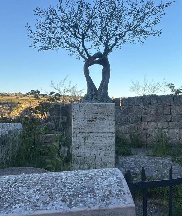 Photo of Others in Matera