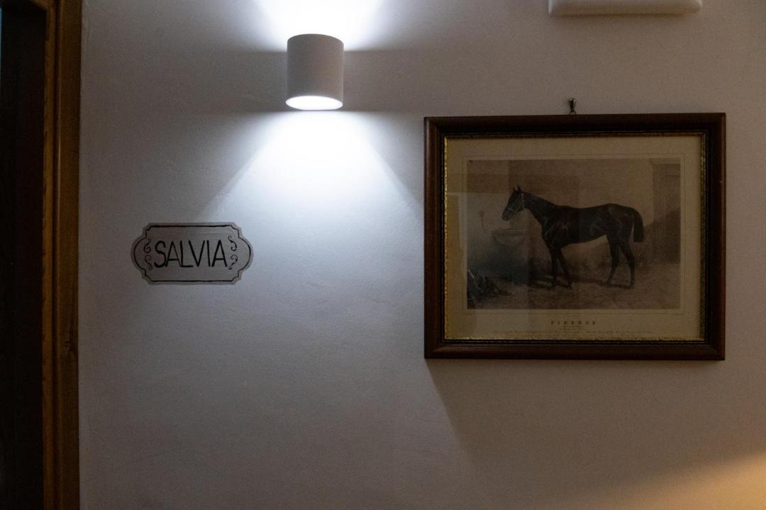 Photo of Others in Scurcola Marsicana