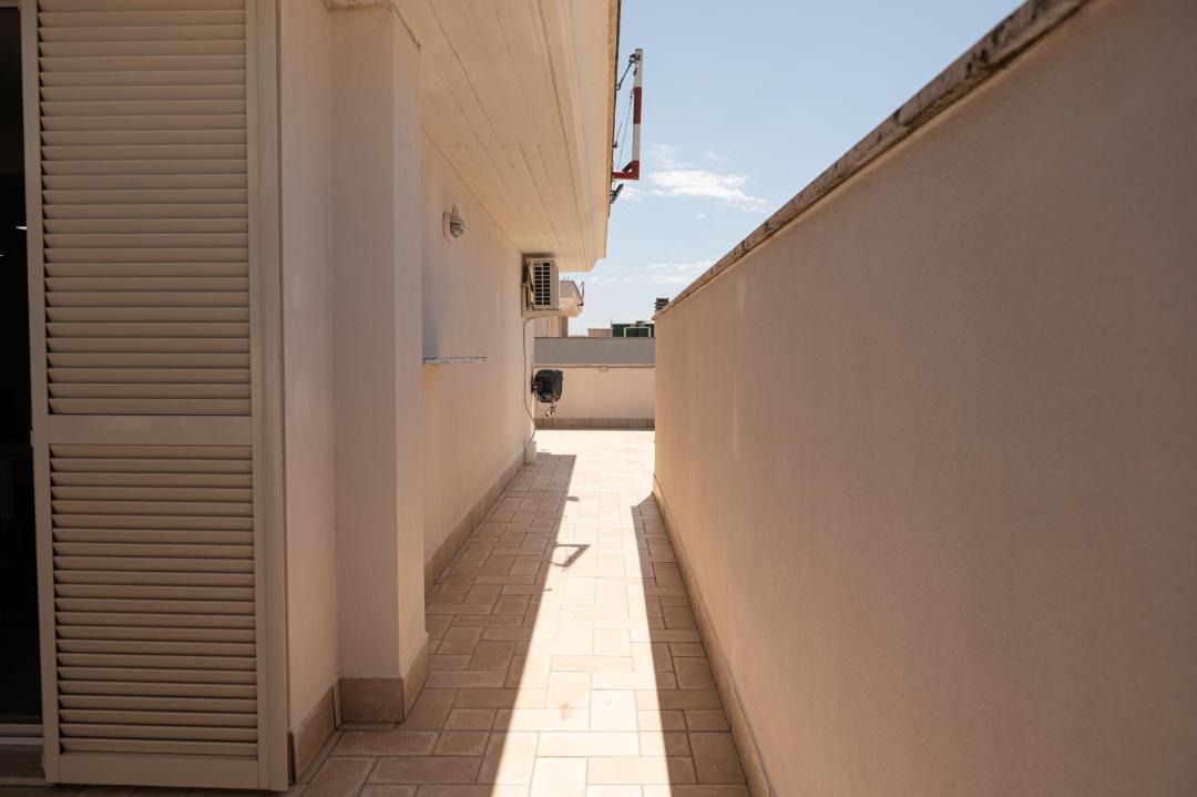 Photo of Others in Ladispoli