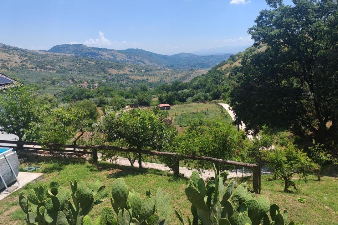 Photo of Others in Anagni
