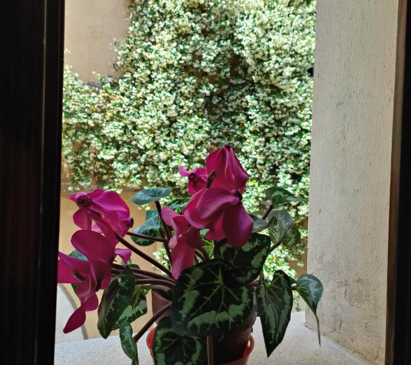 Photo of Others in Benevento