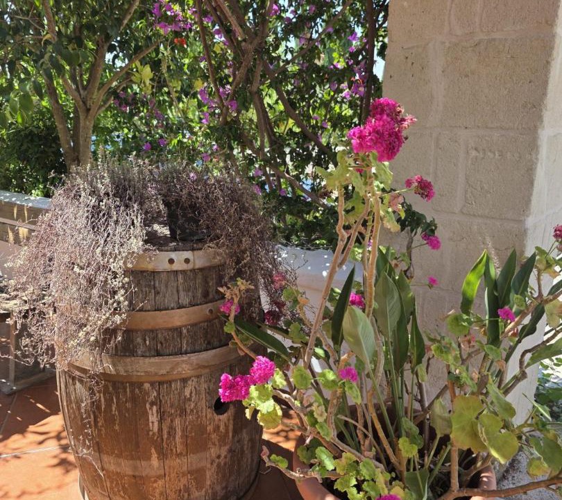 Photo of Others in Ostuni