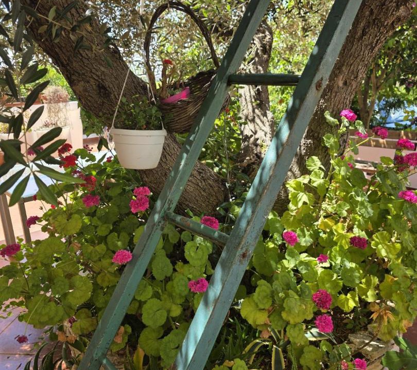 Photo of Others in Ostuni