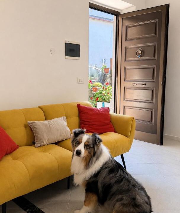Photo of Livingroom in Castelnuovo di Porto