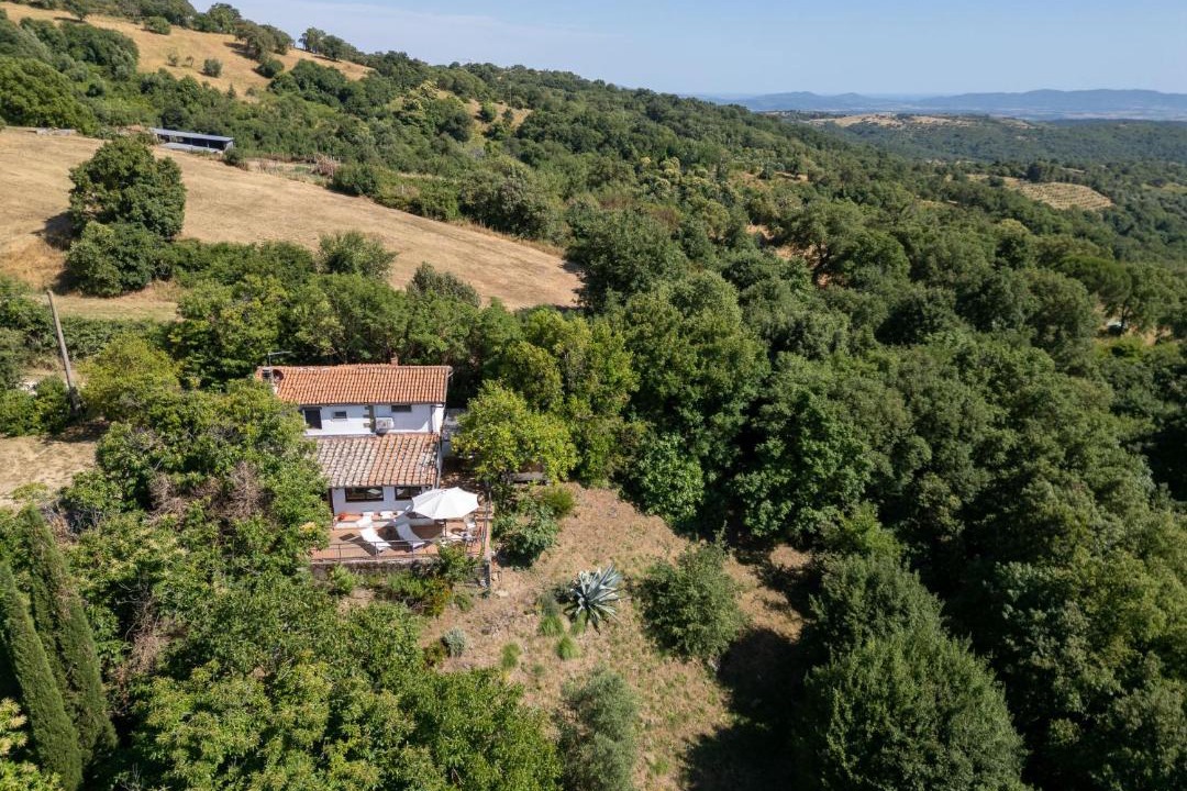 Photo of Others in Scansano