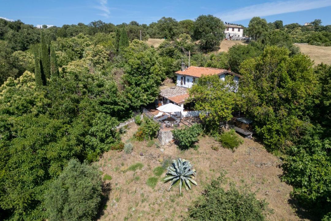 Photo of Others in Scansano