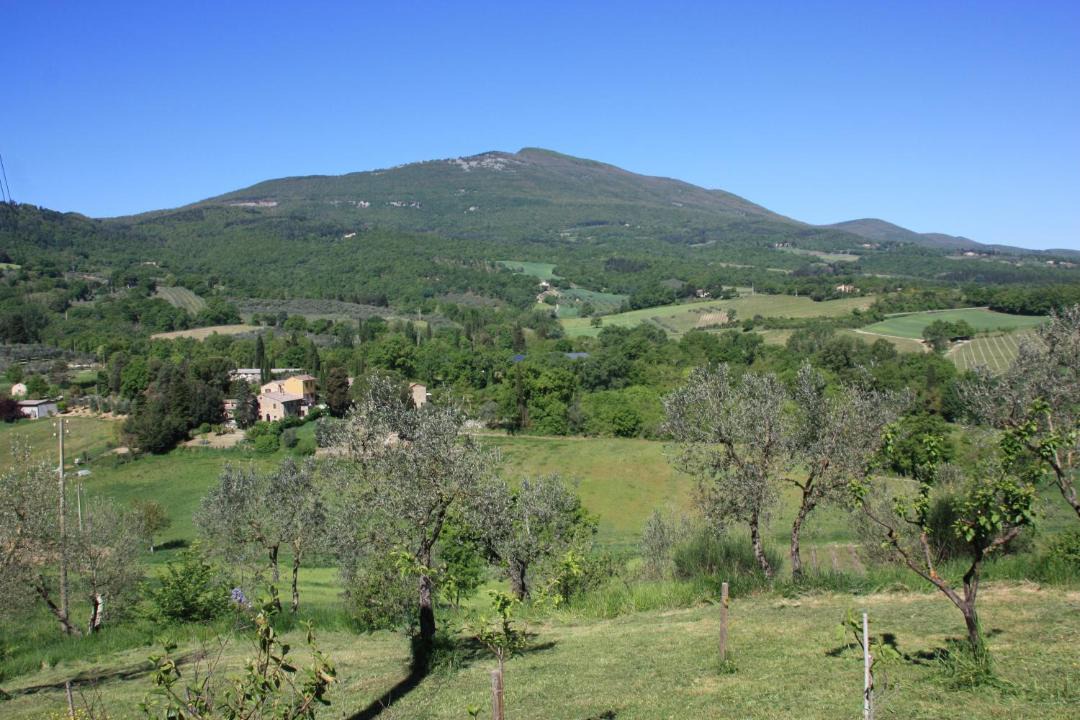 Photo of Others in Cetona