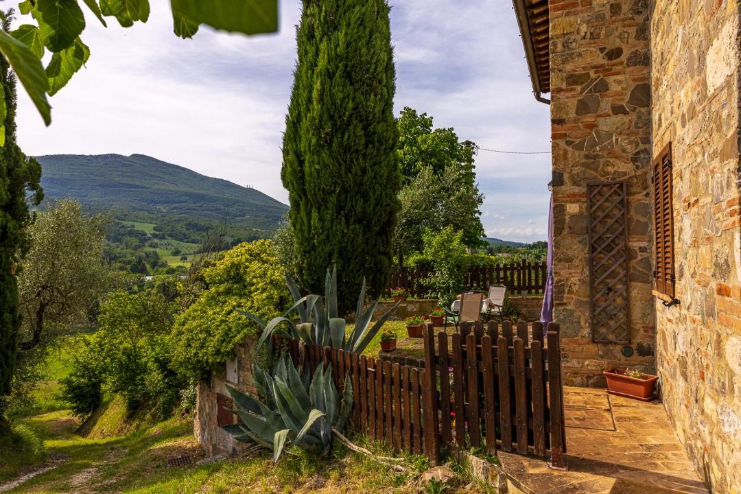 Photo of Others in Cetona