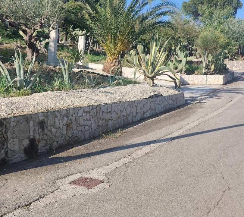 Photo of Others in Giungano